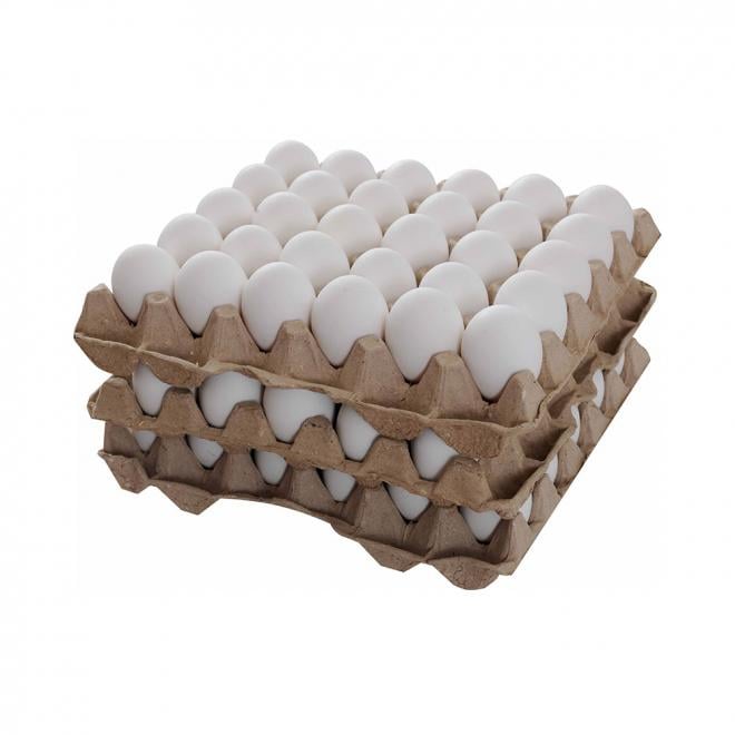 Ok Eggs White - North x 90